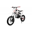 Dirt Bike Thunder 125cc V2 17-14" manuell