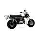 T-REX 125cc MOTO HOMOLOGABLE