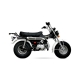 T-REX 125cc MOTO HOMOLOGABLE