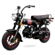 DAX 125cc Moto Homologable