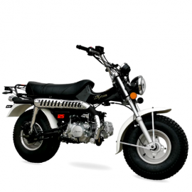 T-REX 125cc Motorrad-Homologation